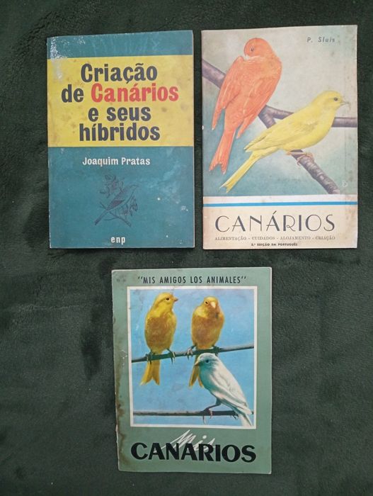 3 livros sobre canários	anos 60	muito raros!	Exemplares unicos