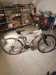 Bicicleta de adulto