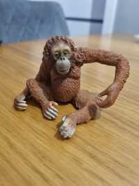 Orangutan schleich figurka