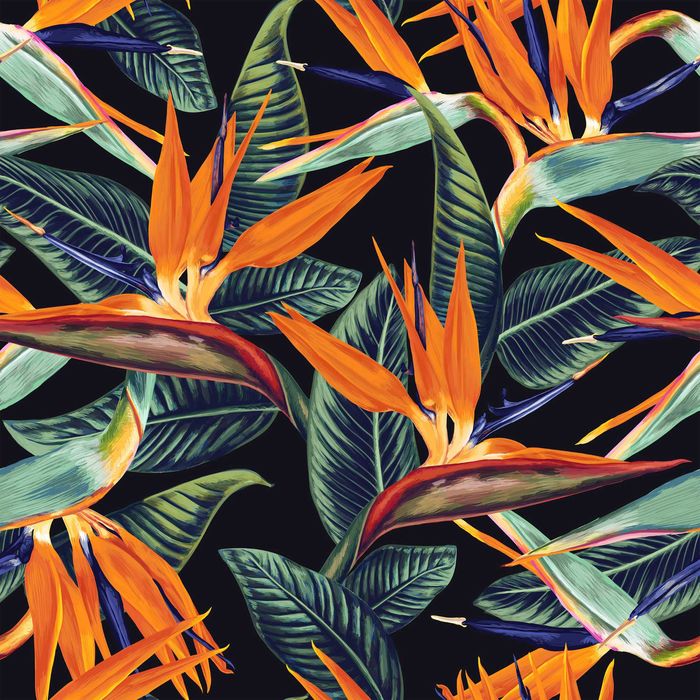 KUP 3 ZAPŁAĆ MNIEJ Tapeta Liście Ciemne Kwiaty Glamour 3D Na Ścianę