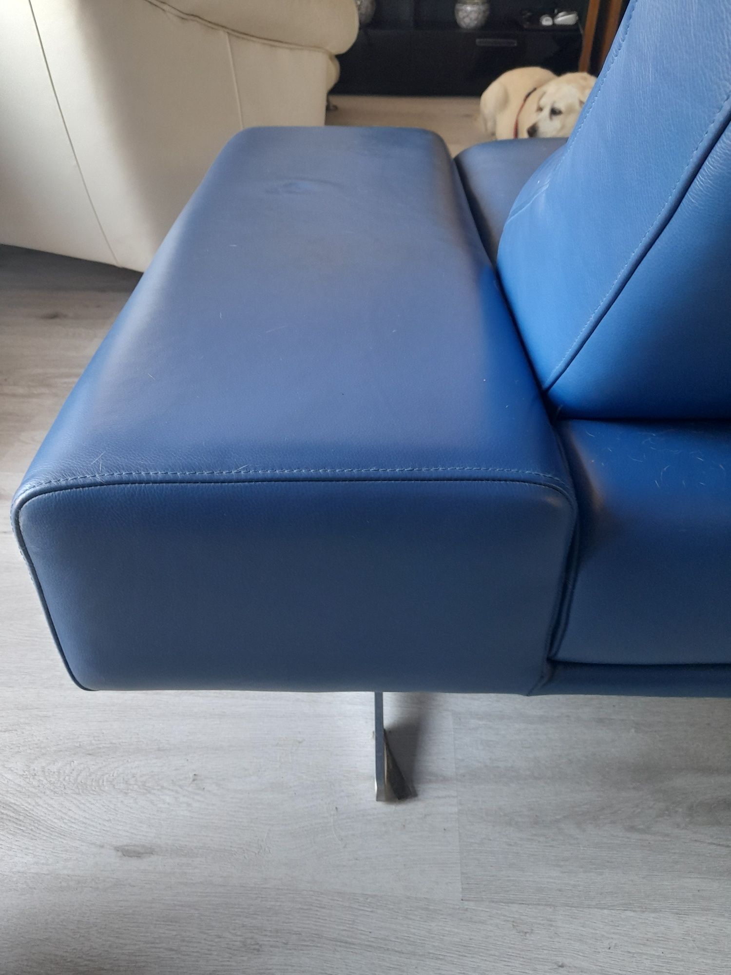 Sofa nierozkładana Kler Soprano W171 kanapa skórzana kobaltowa