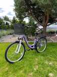 Rower unibike 24 cale