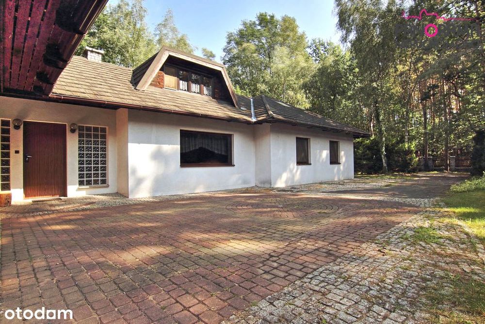 Dom w otoczeniu lasu ze strumykiem za płotem.