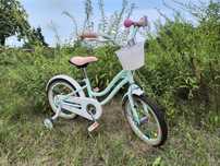 Rower dla dziewczynki 16 cali Heart bike - miętowy