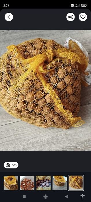 Orzechy  całe włoskie w lupinach