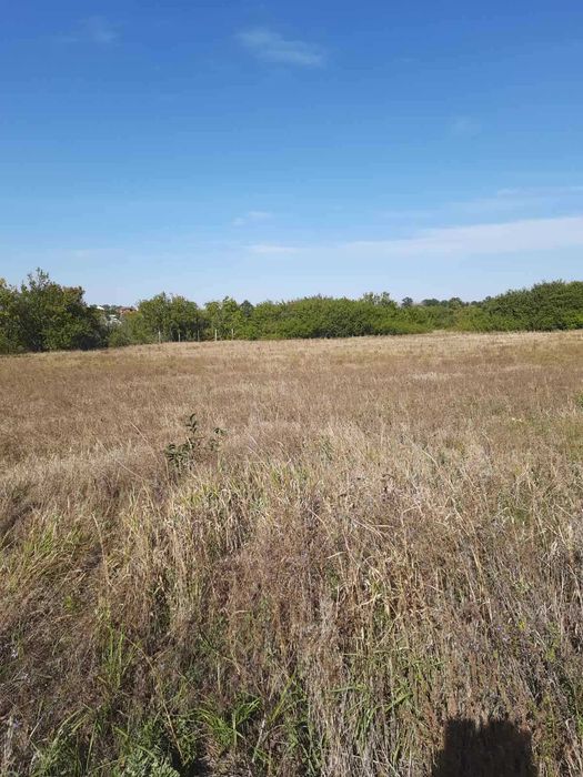 Продам 2 участка пос.Котляры(Коммунар)