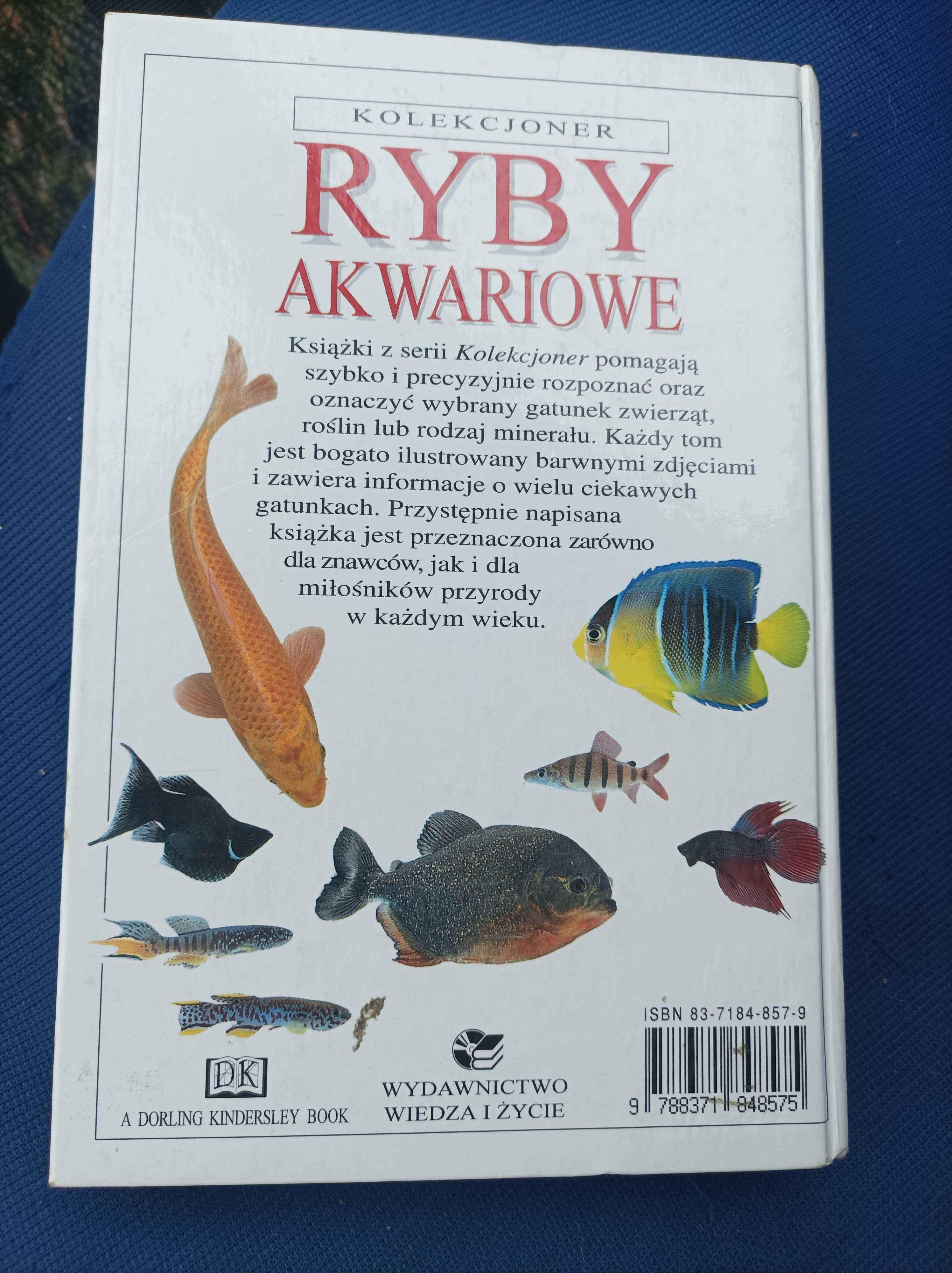 Miłość ryby akwariowe przewodnik
