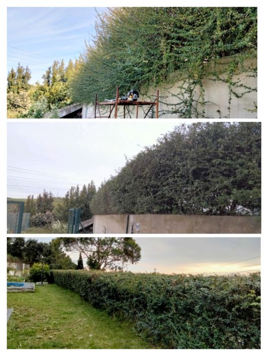 Jardineiro- limpeza e manutenção de jardins