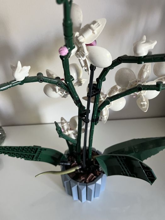 LEGO CREATOR 10311 ORCHIDEA kwiat klocki