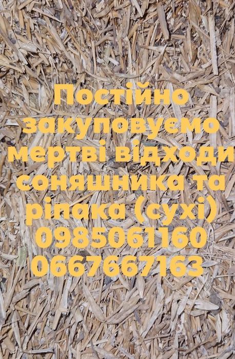 Постійно закуповуємо відходи сільгосп продукції.