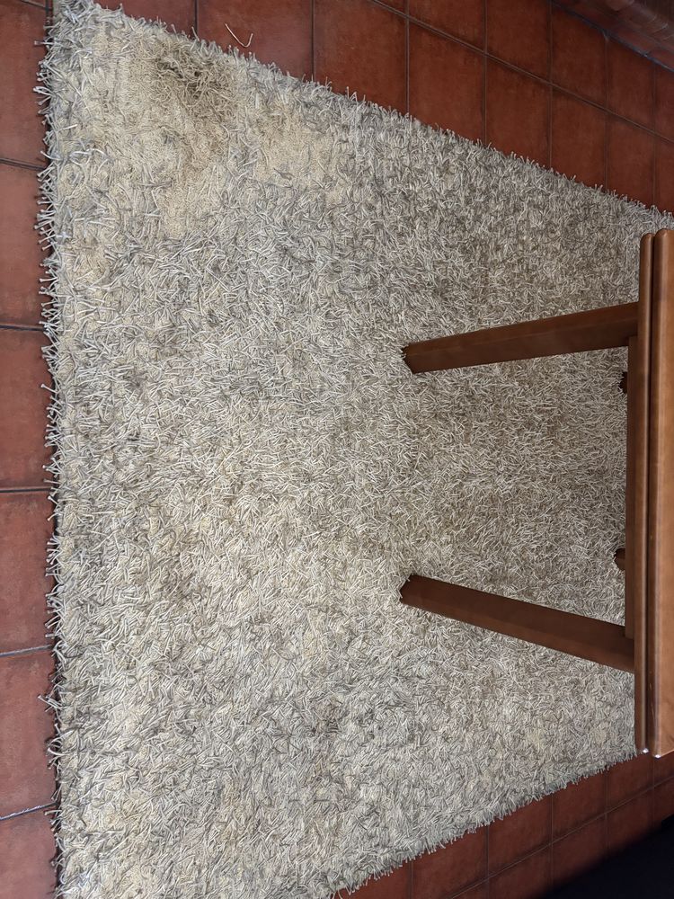 Carpetes / tapetes de sala