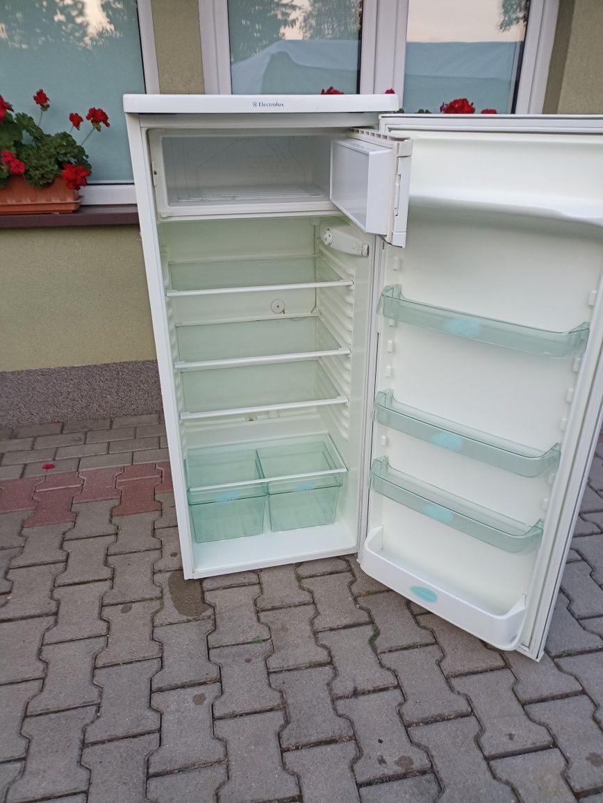 Lodówka chłodziarka mala 125 cm