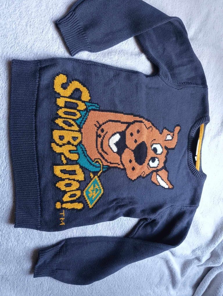 Sweter szary Scooby doo 116