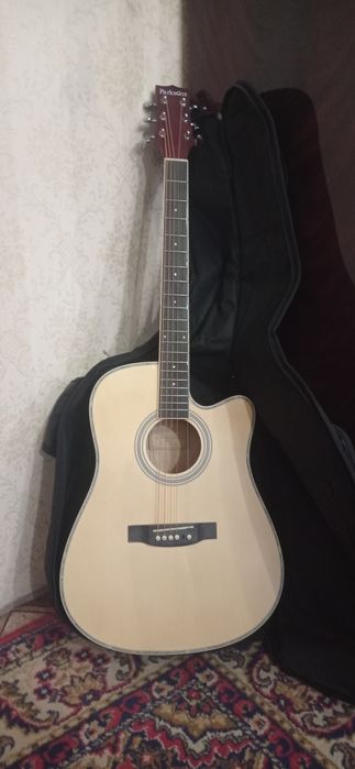 Акустическая гитара Psrksons с чехлом