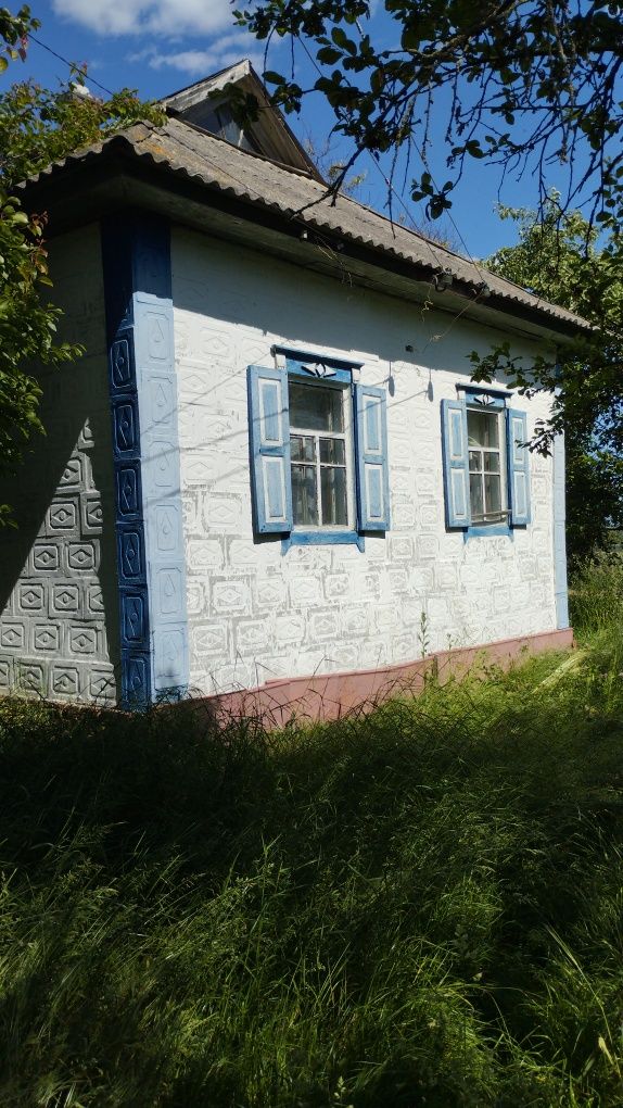 Продам будинок в селі Книшівка, Гадяцький р-н, Полтавська область.