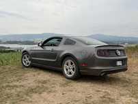 Ford Mustang 2014r