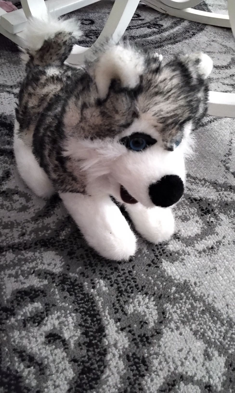 Słodki pluszak Pies Husky