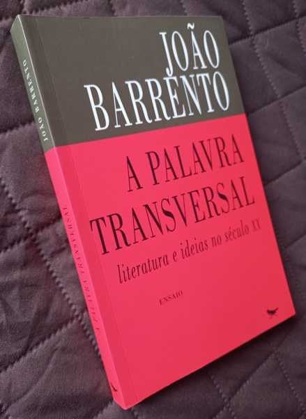A Palavra Transversal - João Barrento