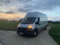 Bus wynajem maxi l4h3 Ducato / Boxer / Jumper / Movano