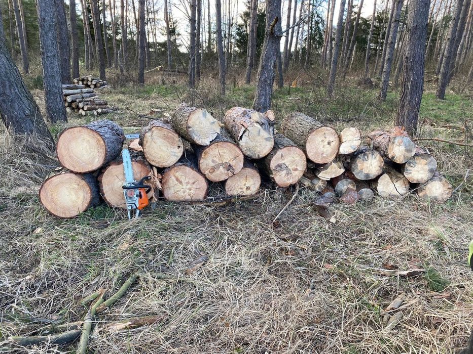 Witam sprzedam drewno opałowe