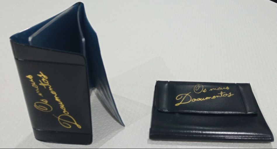 Porta-documentos ou porta-cartões (15 separadores)