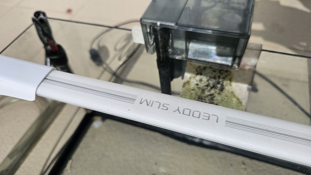 Aquário com kit de água quente e plantas