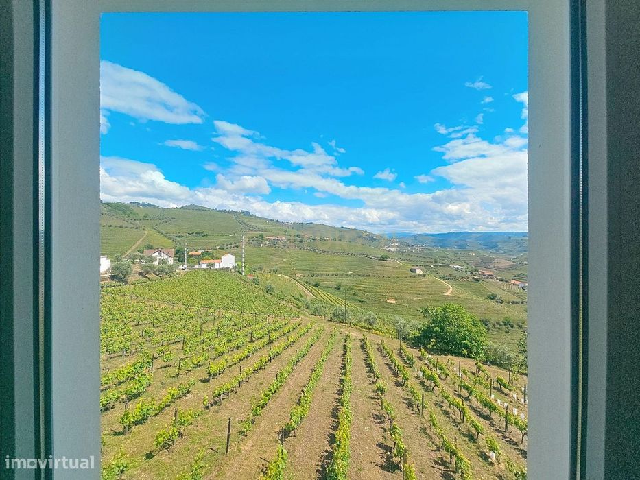 Quinta em Santa Marta de Penaguião, com 50.000 m² – Produção de Vinho