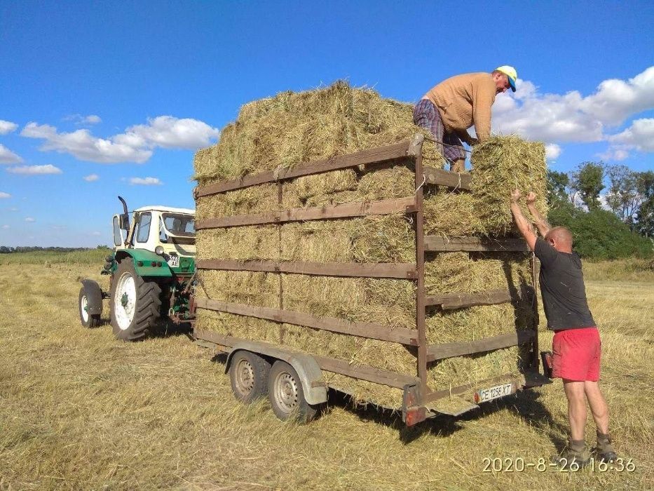 Продам сіно та солому.