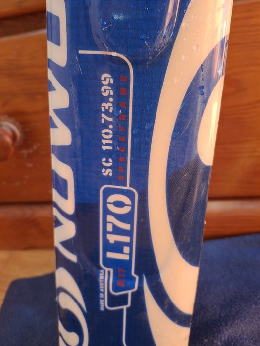 Skis e Botas salomon 50 euros