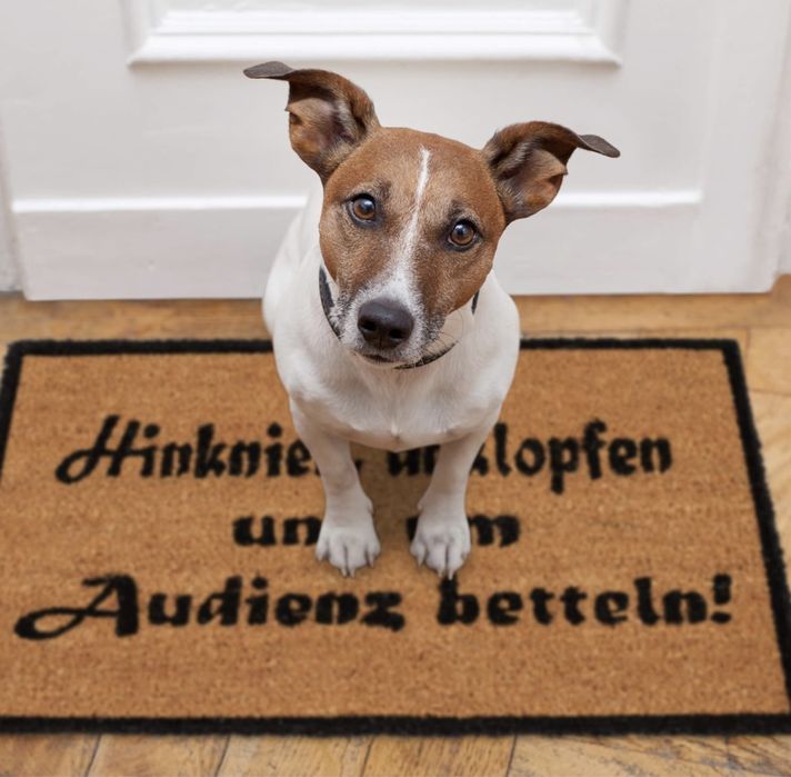 Wycieraczka humorystyczna kokosowa