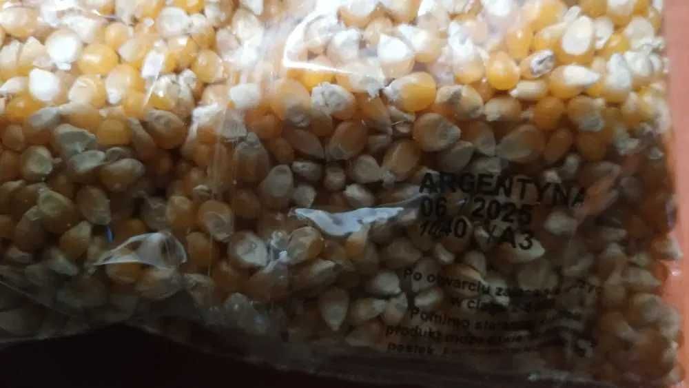 Popcorn kukurydza ziarno 5 kg