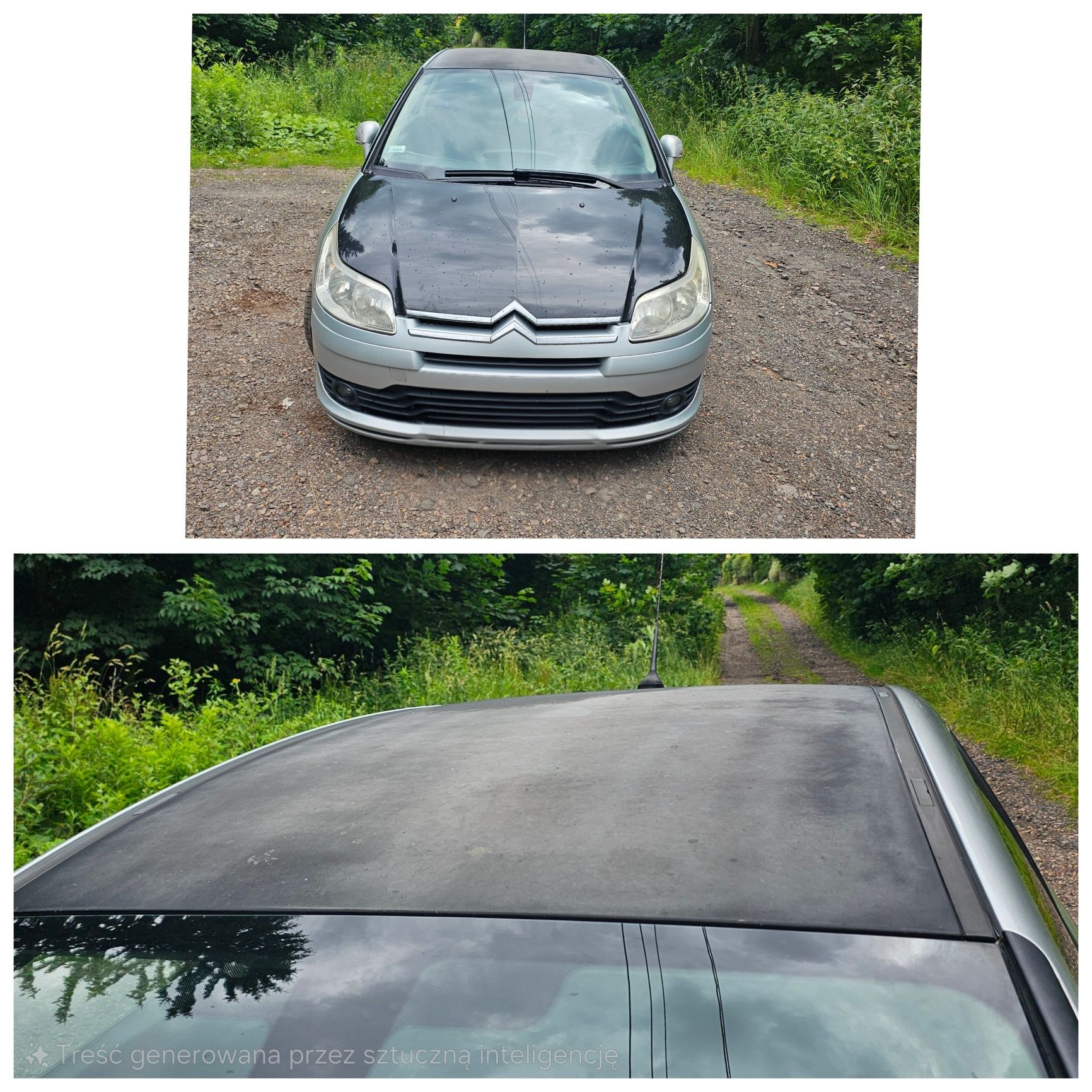 Citroen c4 coupe 1.6hdi 109km