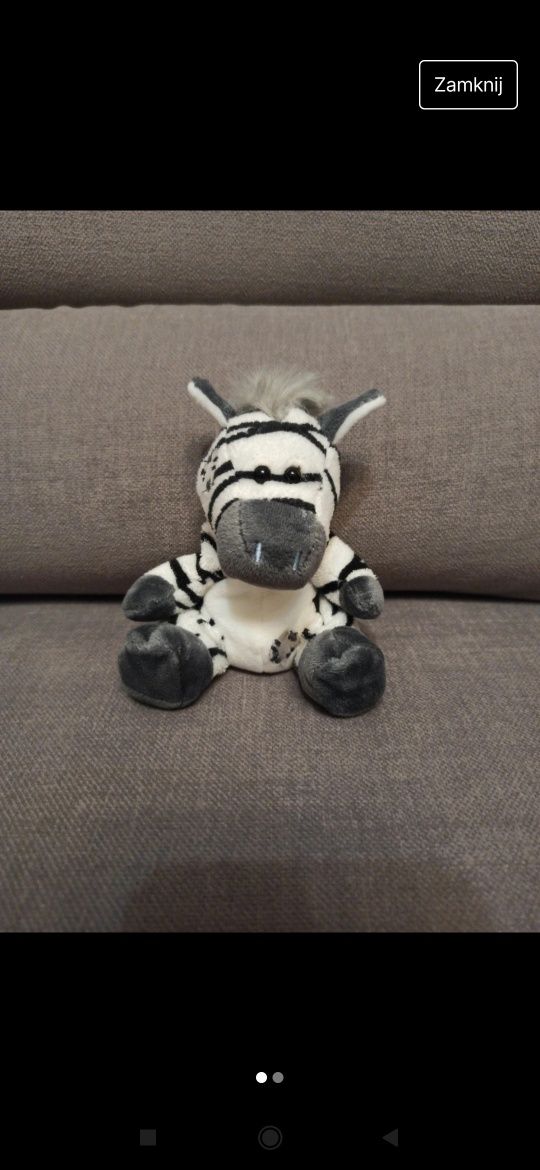 My Blue Nose friends, zebra Chip