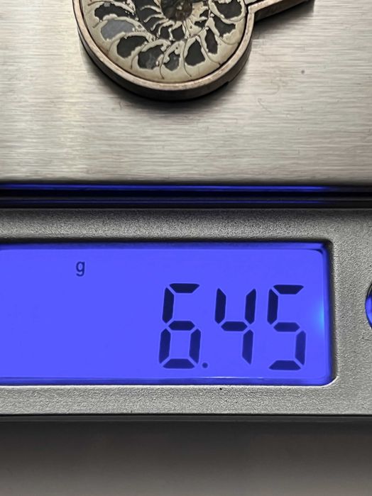 Srebro - Srebrna przywieszka z amonitem - Art Deco z około 1930 roku