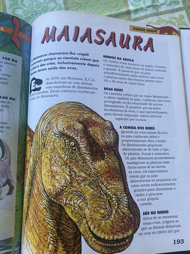 Vendo coleção “ Dinossauros”, 11 volumes encadernados