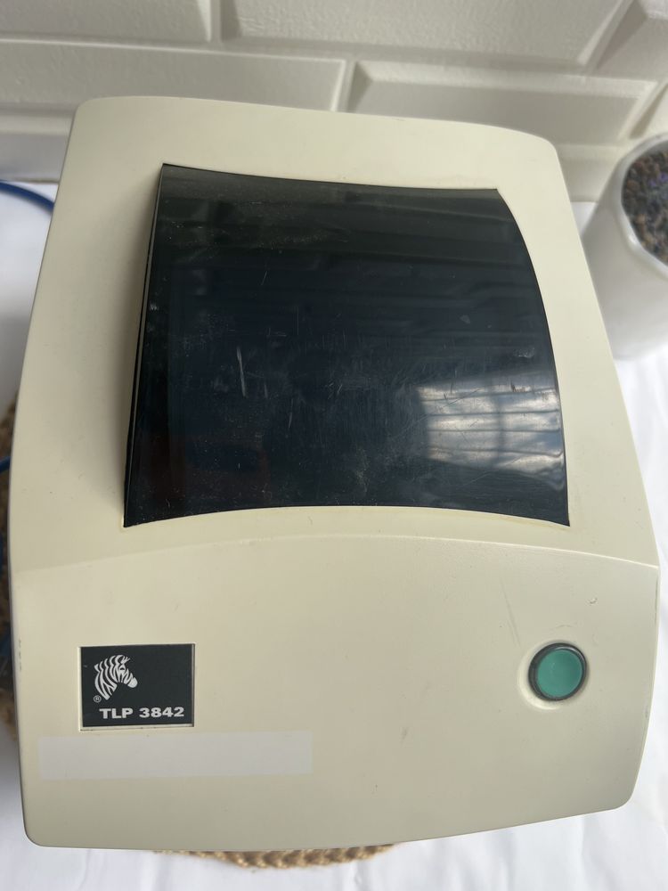 Принтер Zebra TLP 3842