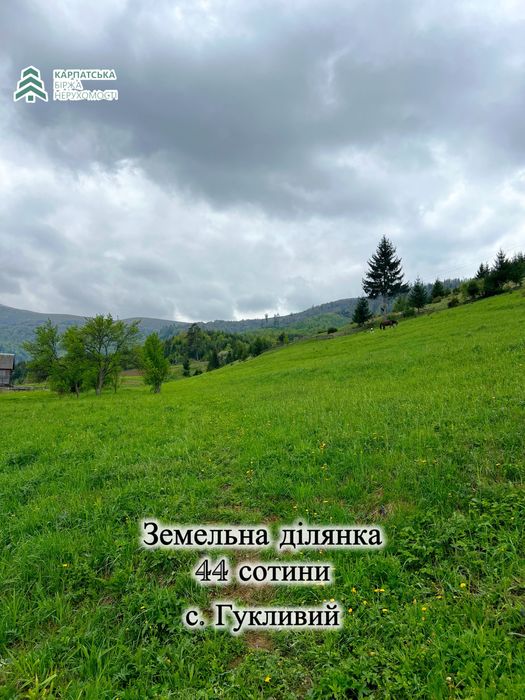 Земельна ділянка в селі Гукливе