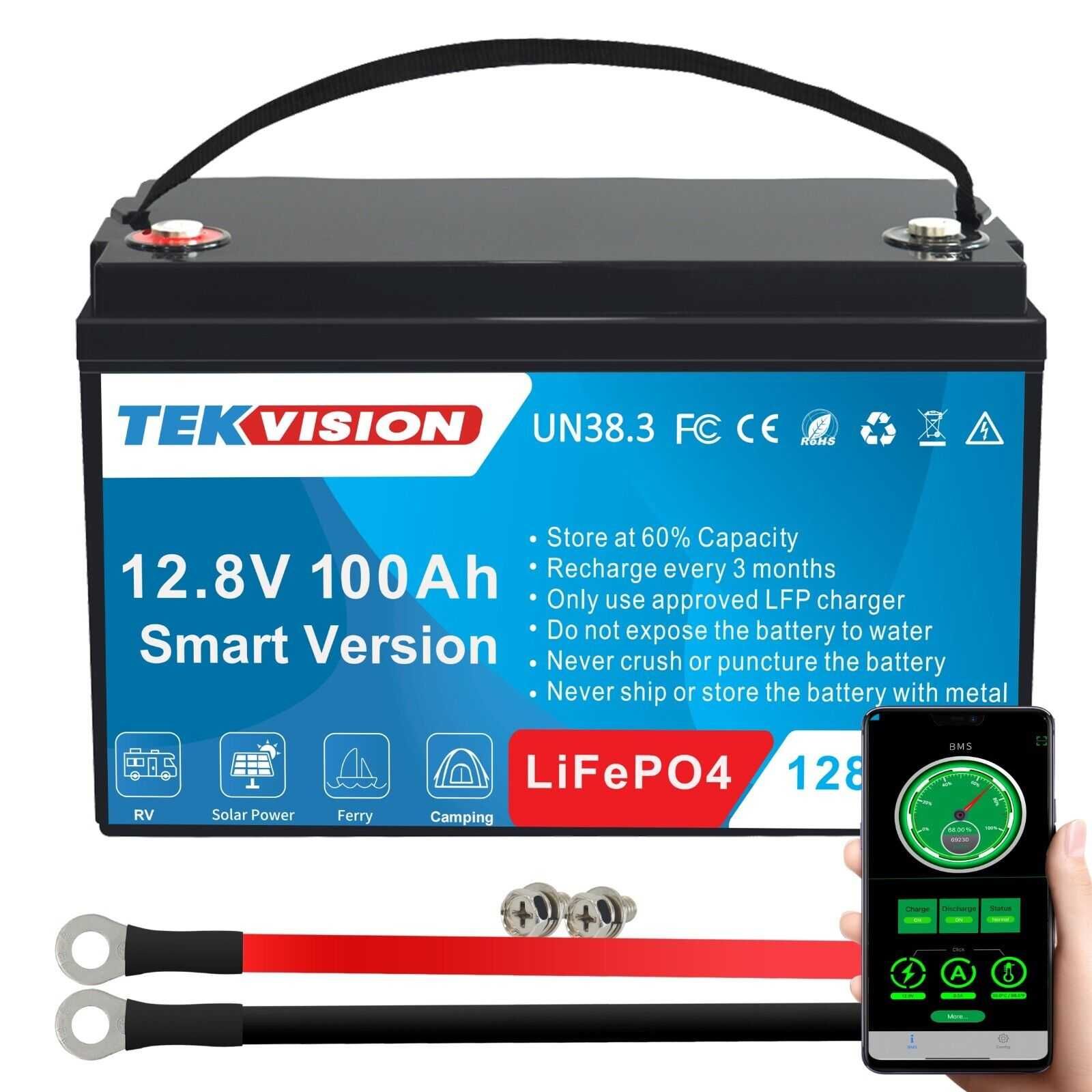 Акумулятор TekVision LiFePo4 100 Ah 12.8 V