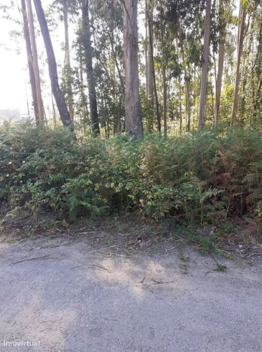 Terreno em Argoncilhe com 1100 m2