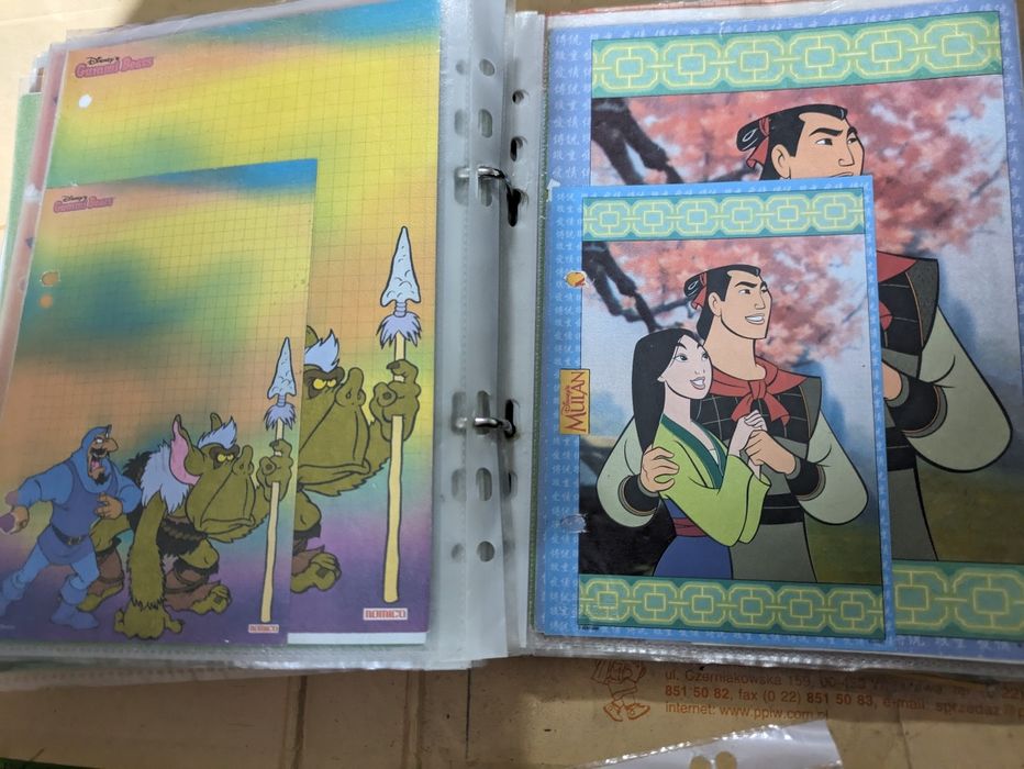 Karteczki do segregatora