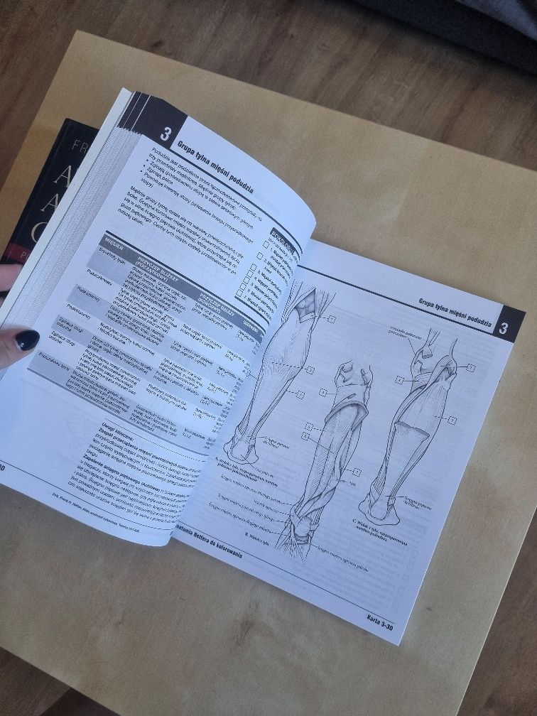 Atlas Anatomiczny NETTER 7 + Anatomia Nettera do kolorowania 2
