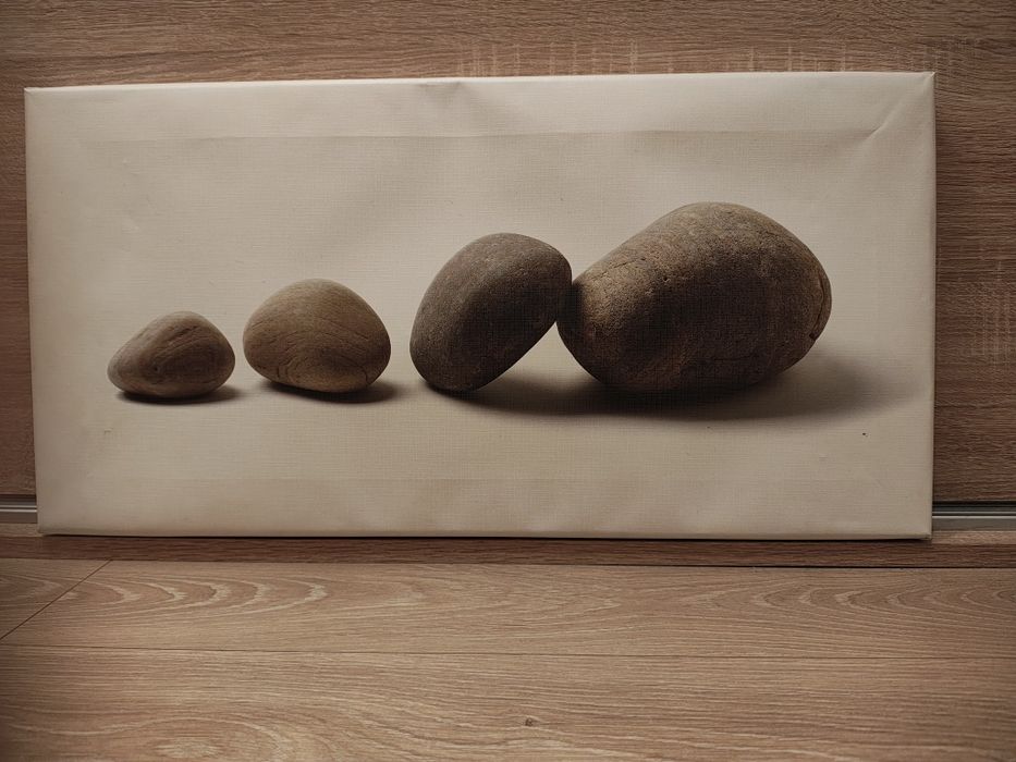 Grafika na płótnie obraz 60x30cm