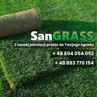 Trawa z rolki • Darń trawnikowa • Trawa rolowana • Trawnik w rolce