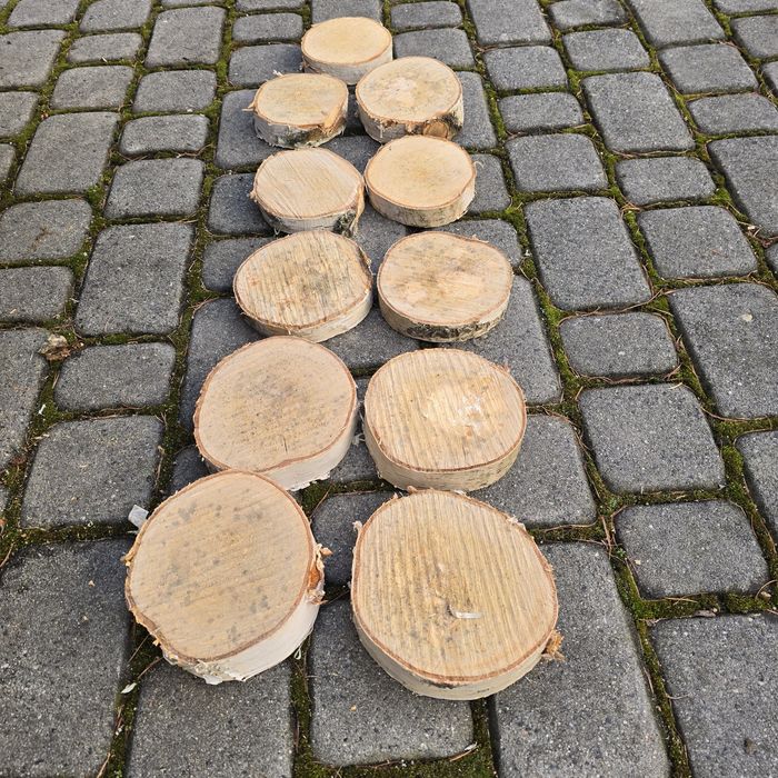 Ozdoby świąteczne plastry brzozy 11 szt.