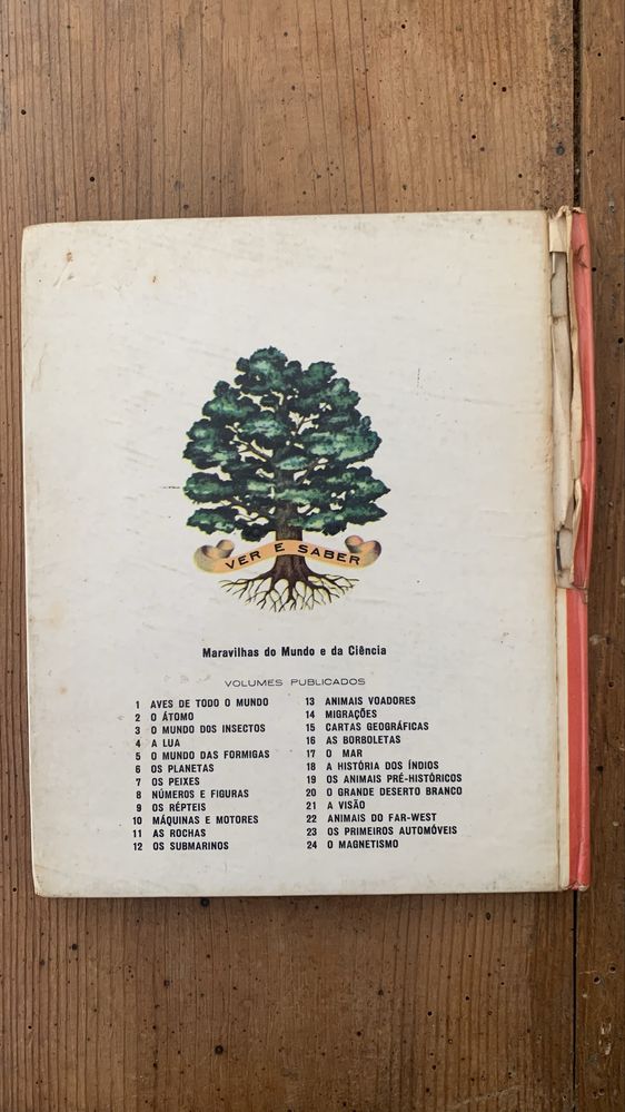 Os primeiros automóveis