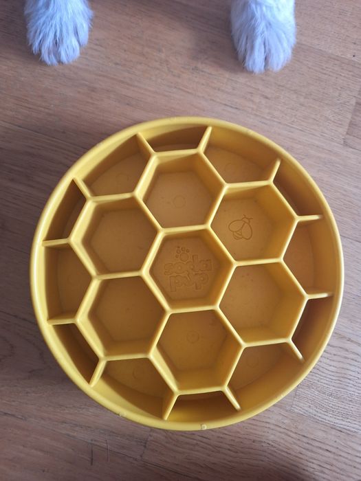 soda pup eBowl Honey miska spowalniająca jedzenie
