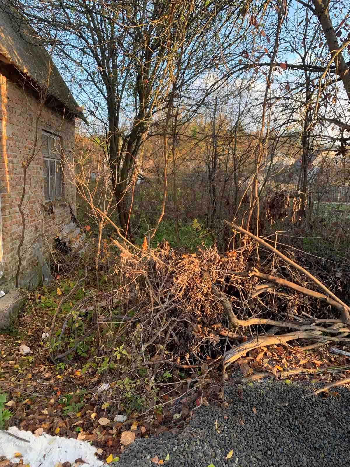 Чистка ділянок, оренда дробарки, подрібнювач гілок