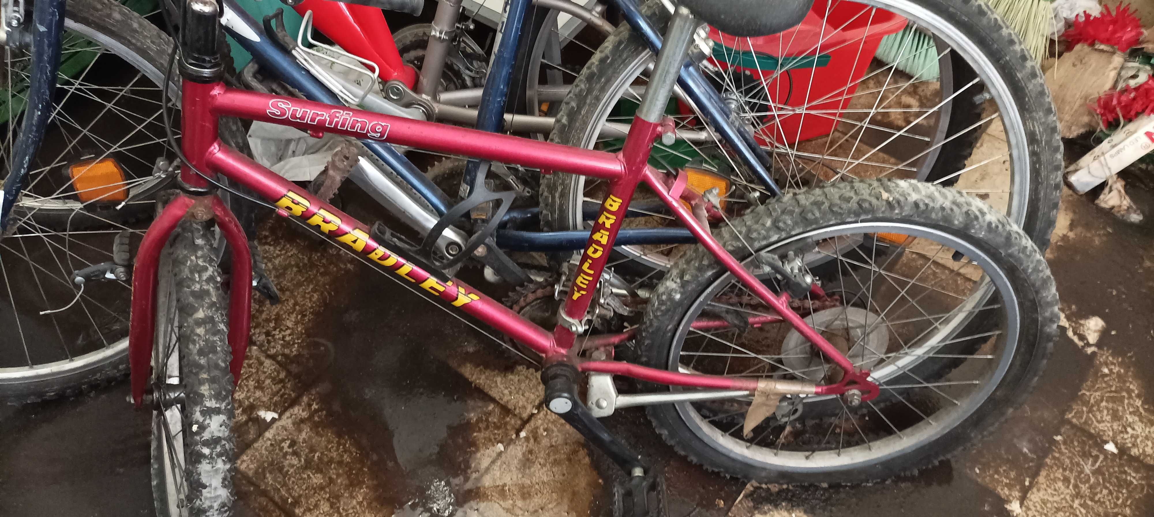 Bicicletas para uma familia