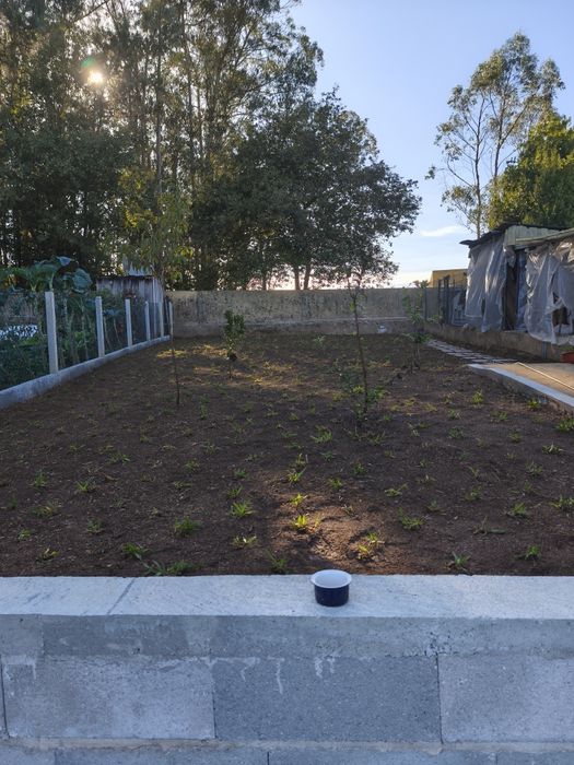 Serviços jardinagem