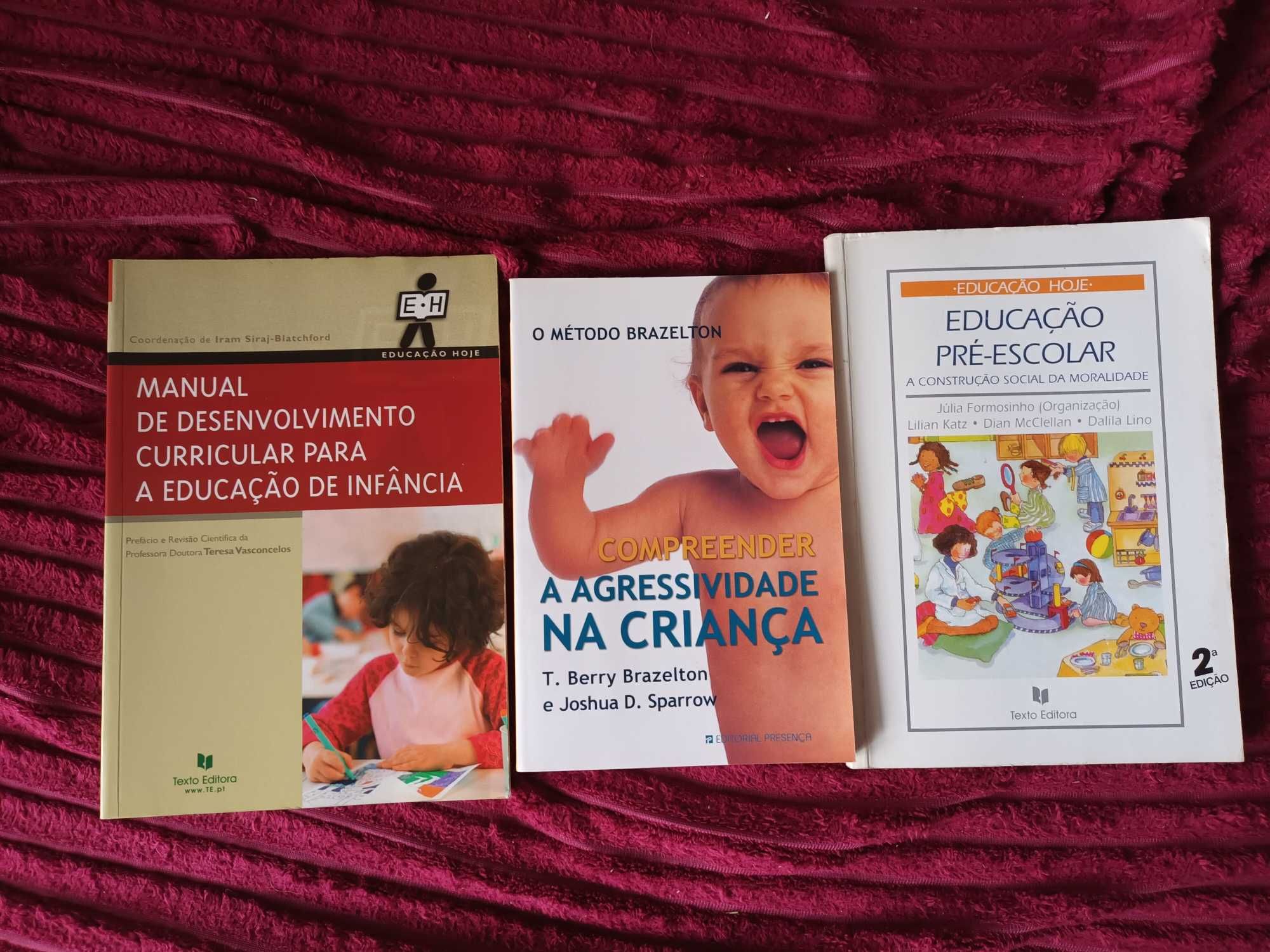 Livros apoio desenvolvimento curricular educação de infância